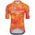 NETHERLANDS NATIONAL TEAM Short Sleeve Jersey 2025