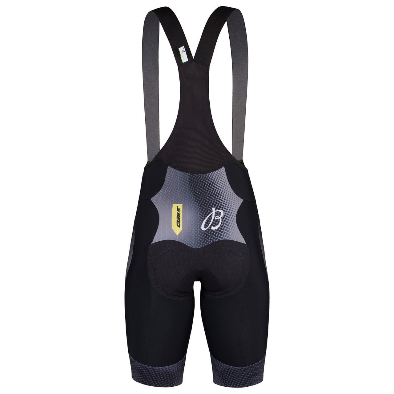 Q36.5 PRO CYCLING TEAM Bib Shorts Gregarius 2023