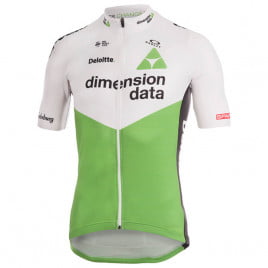 TEAM DIMENSION DATA Kurzarmtrikot 2019 grun schwarz weiB