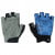 Ischia Gloves