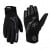 Ravenstein Winter Gloves, black