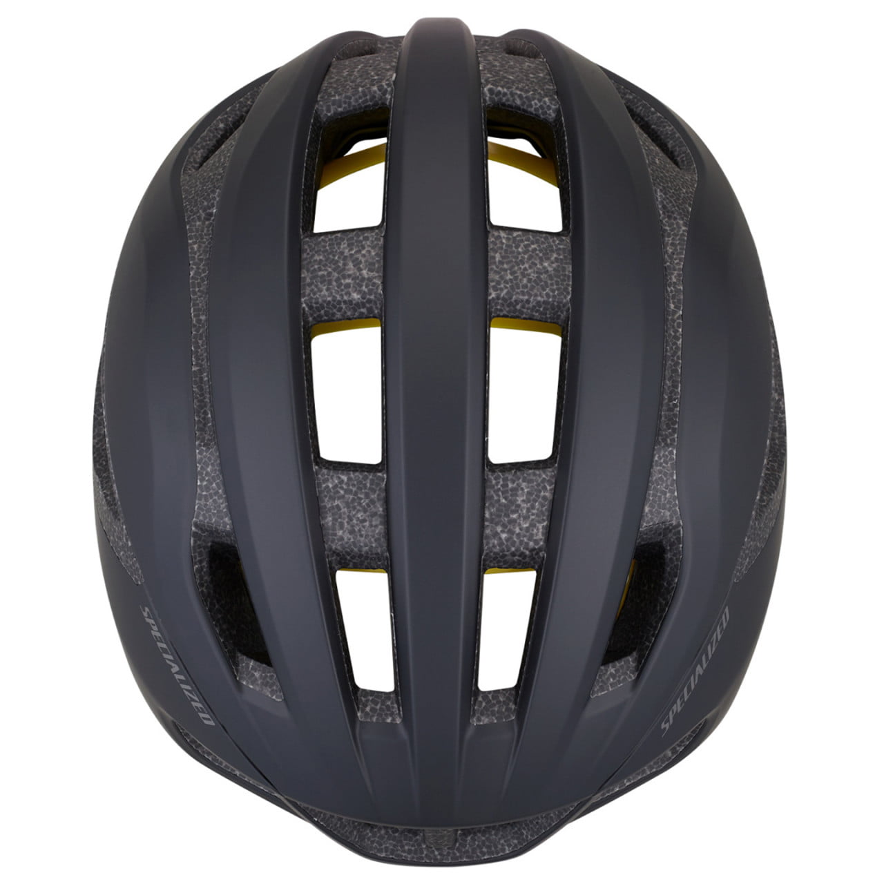 Casque Loma Mips 2025