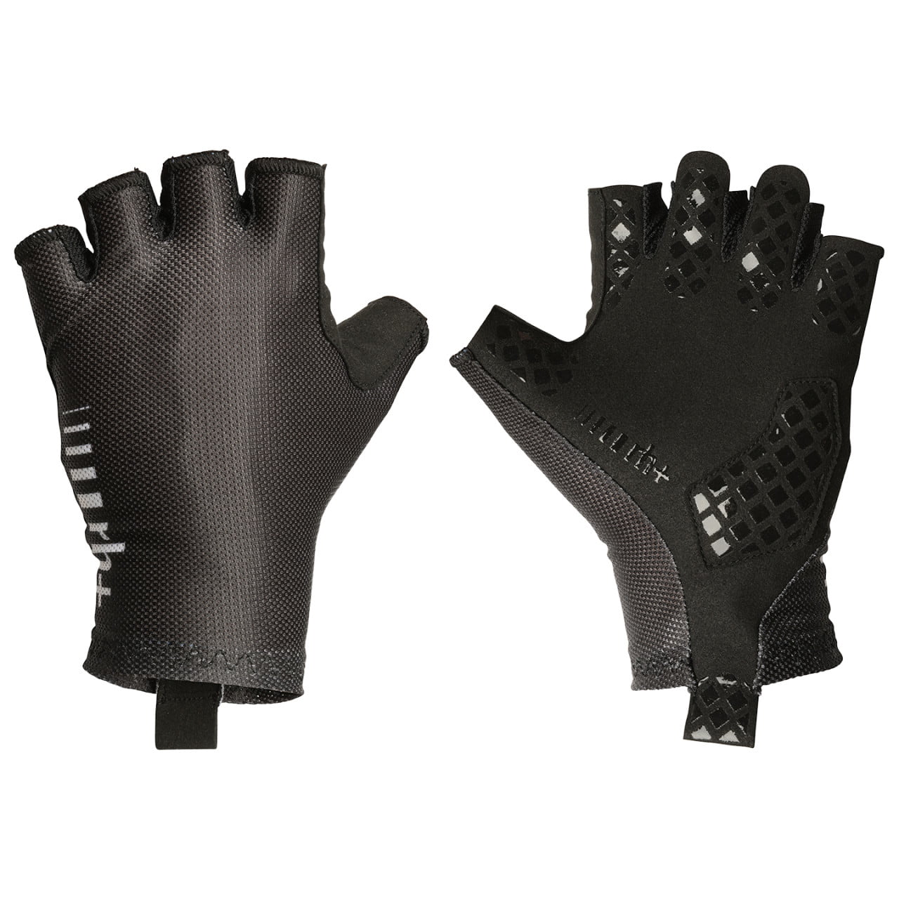 rh+ Gants New