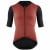Maillot mangas cortas  Tactica T5