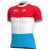 Maillot manches courtes GROUPAMA-FDJ Champion luxembourgeois 2021