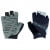 Iseo Gloves
