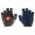 Handschuhe Endurance
