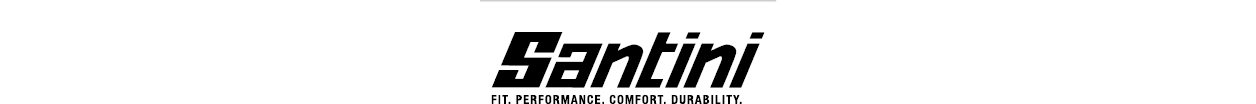 Santini-Logo