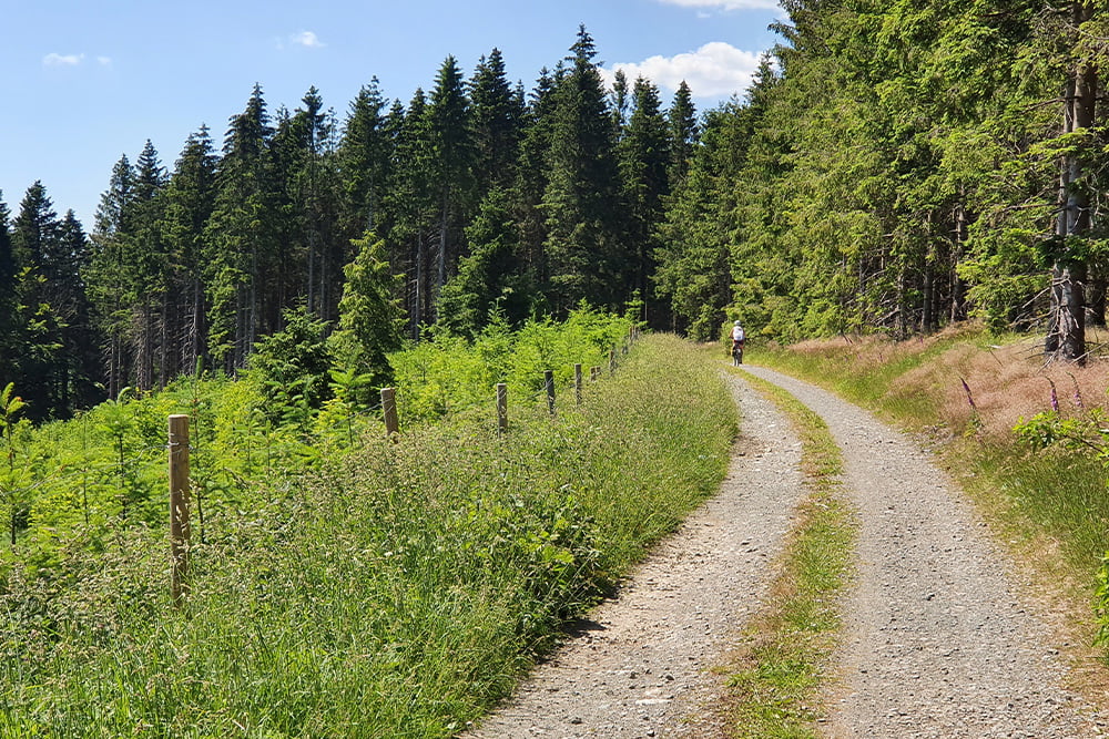 Radtour 2