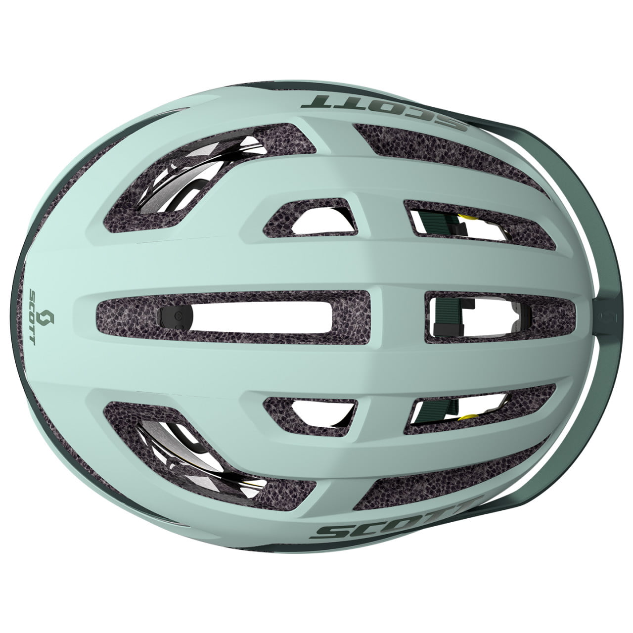 Casque Arx Plus MIPS 2025
