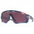 Radsportbrille Jawbreaker Prizm TDF